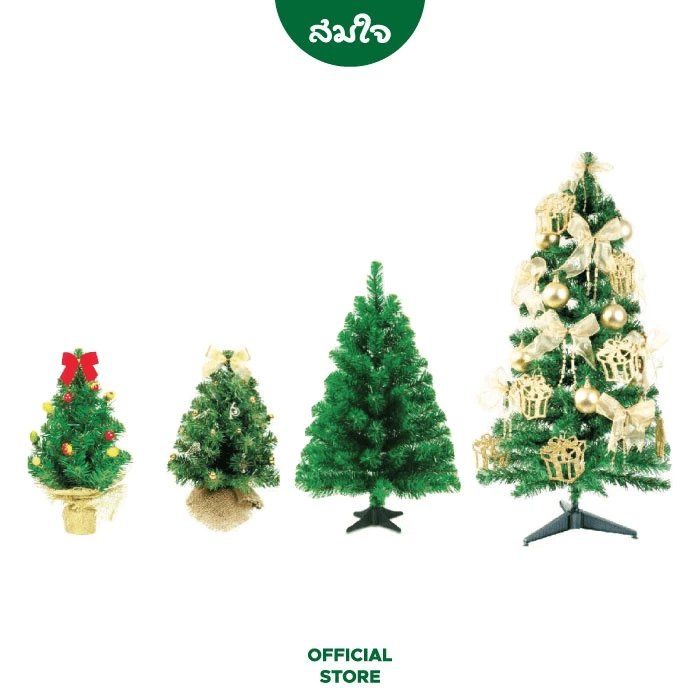 ต้น Christmas Somjai Selected ขนาด 1 ฟุต